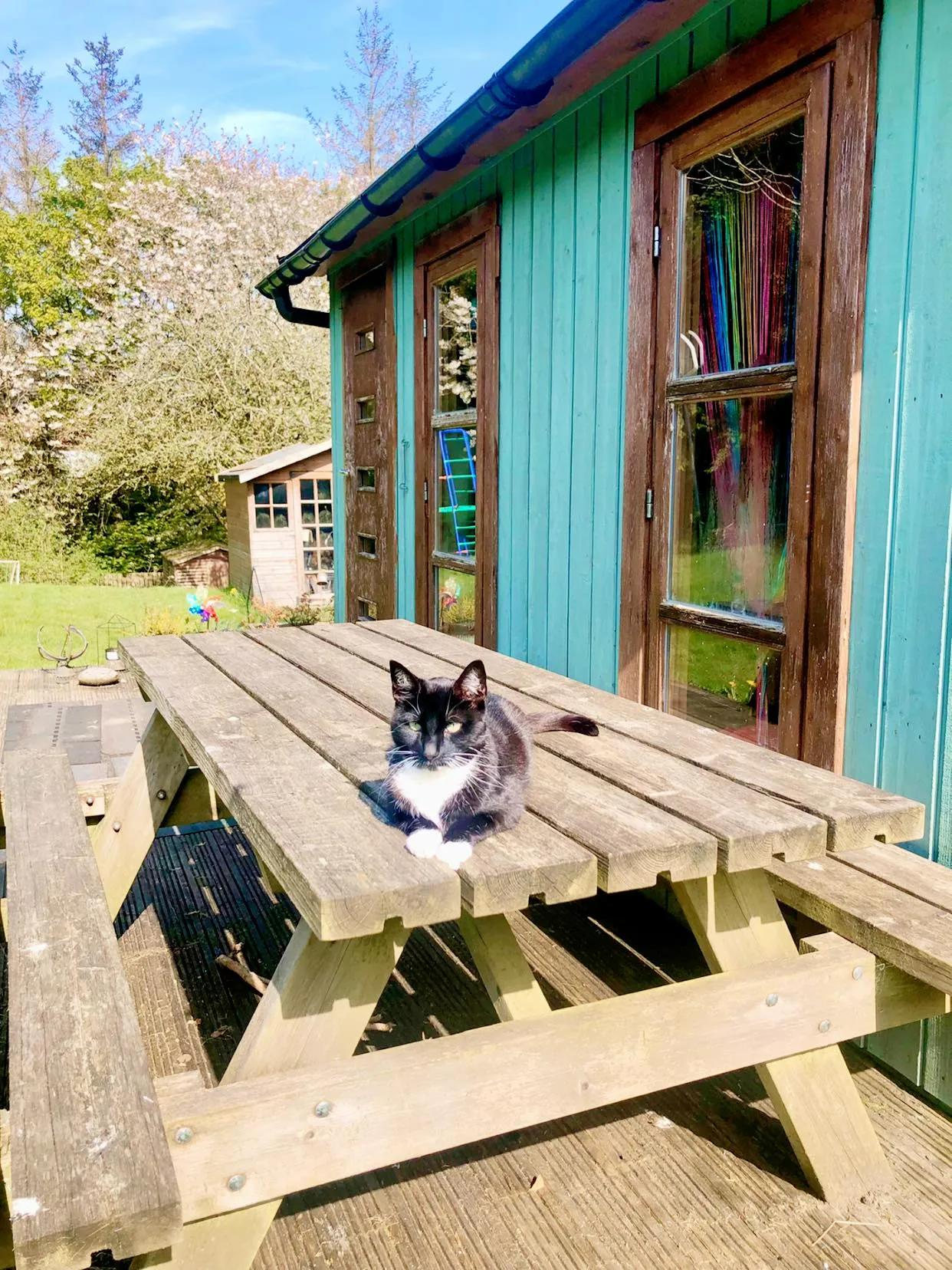 Forest school outdoor learning table with jars and water play by lake; nature-based wellbeing workshop for small groups.