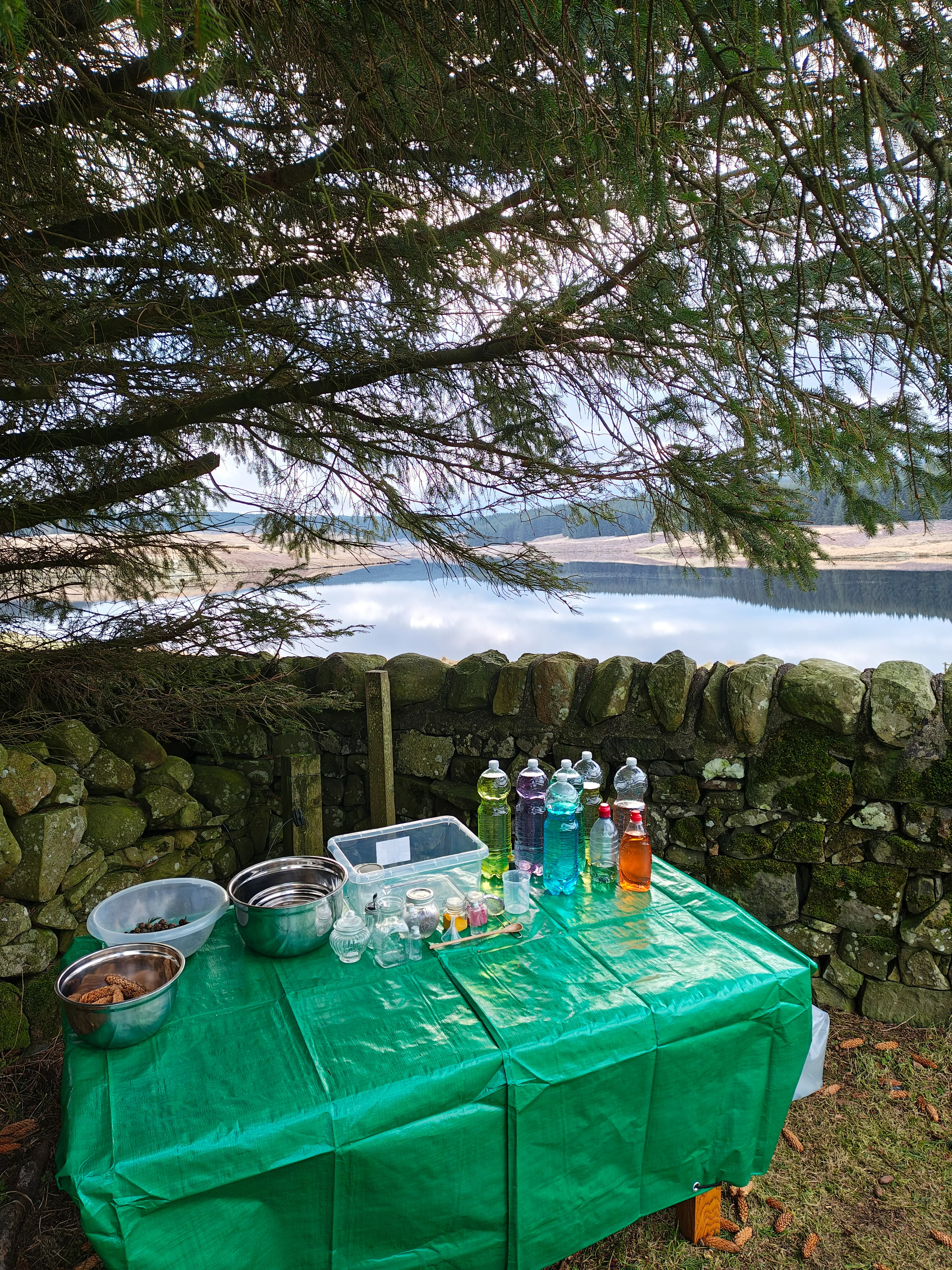 Forest school outdoor learning table with jars and water play by lake; nature-based wellbeing workshop for small groups.